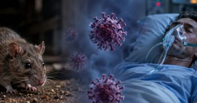 Brasil registra primeira morte por hantavírus neste ano